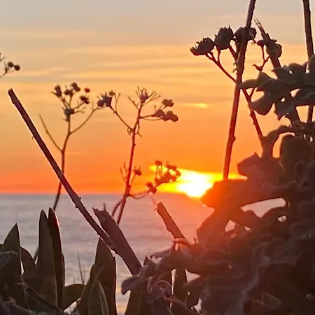 Julian's House Portopollo *