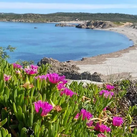 Julian's House Portopollo Appartement *