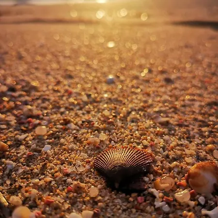 Appartement Julian's House Portopollo *